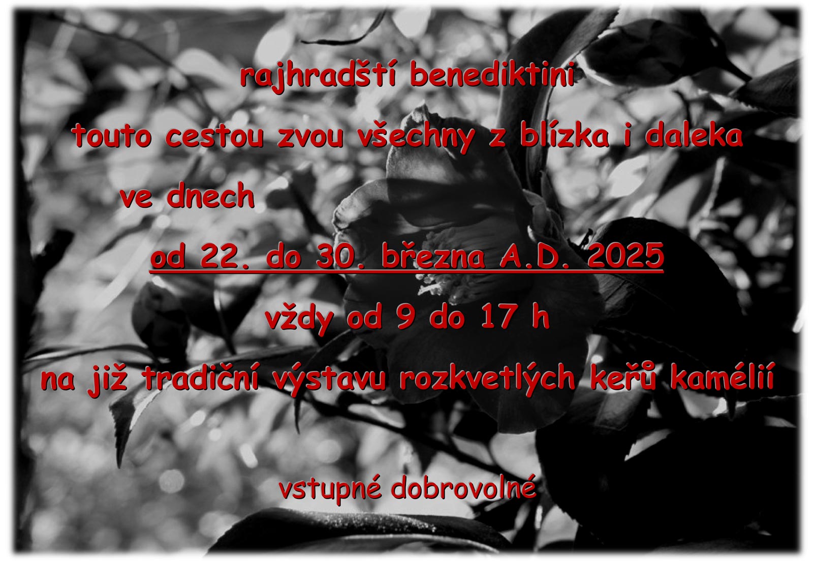 vystava kamelie Rajhrad